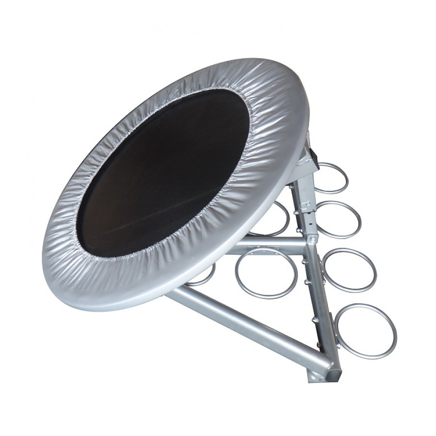 Medicine Ball Reactor Pegasus B 1220-05