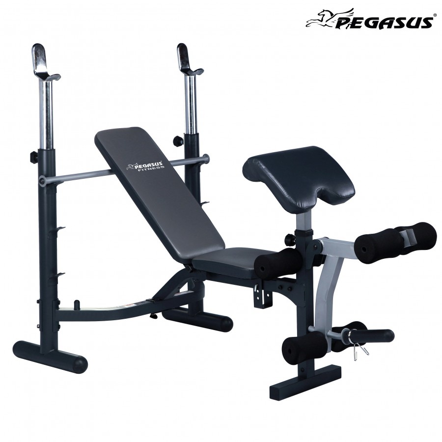 Πολυπάγκος Βαρών Pegasus® JX-764