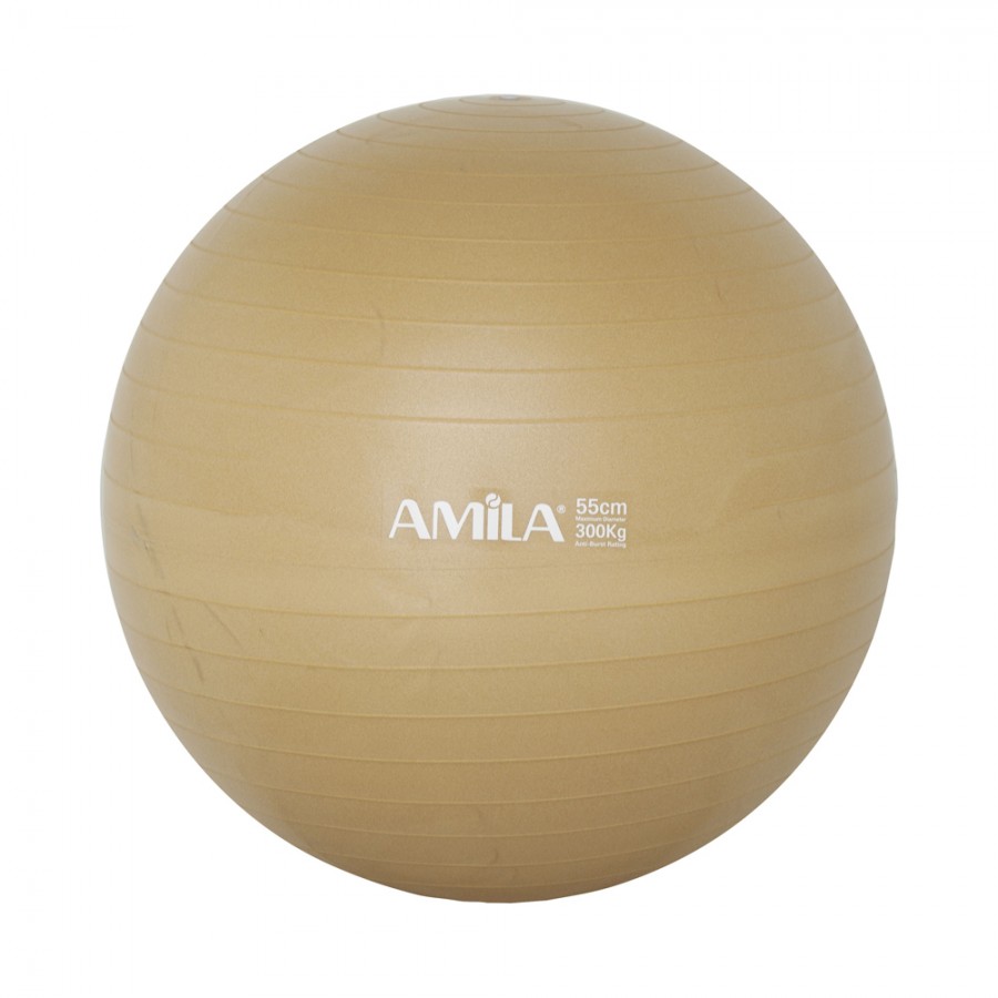 Μπάλα γυμναστικής Amila 55cm 95829