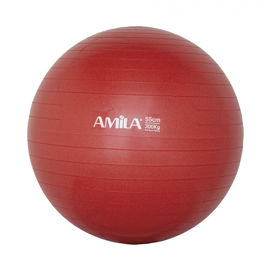 Μπάλα γυμναστικής Amila 55cm 95828