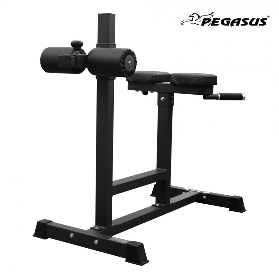 Πάγκος ραχιαίων Pegasus® HCLT-5006