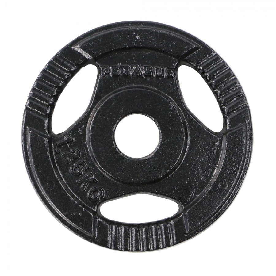 Δίσκος Μεταλλικός με Λαβές Ø29 1.25kg Pegasus Β 0106