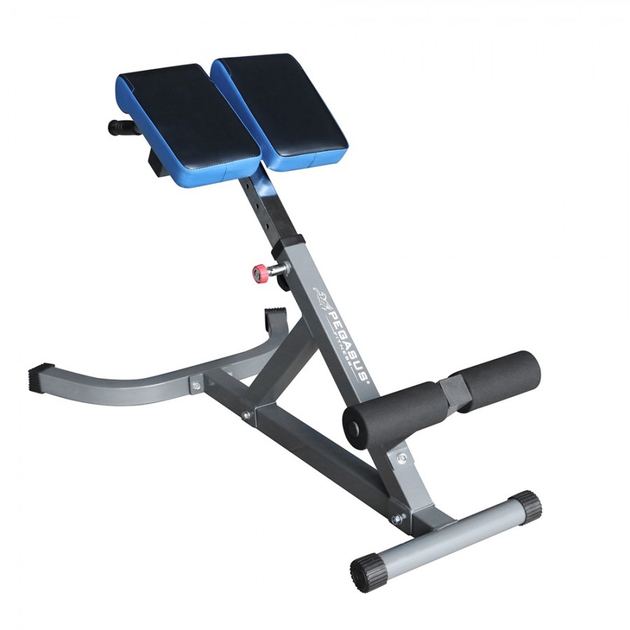 Πάγκος Ραχιαίων Pegasus® LRK-904