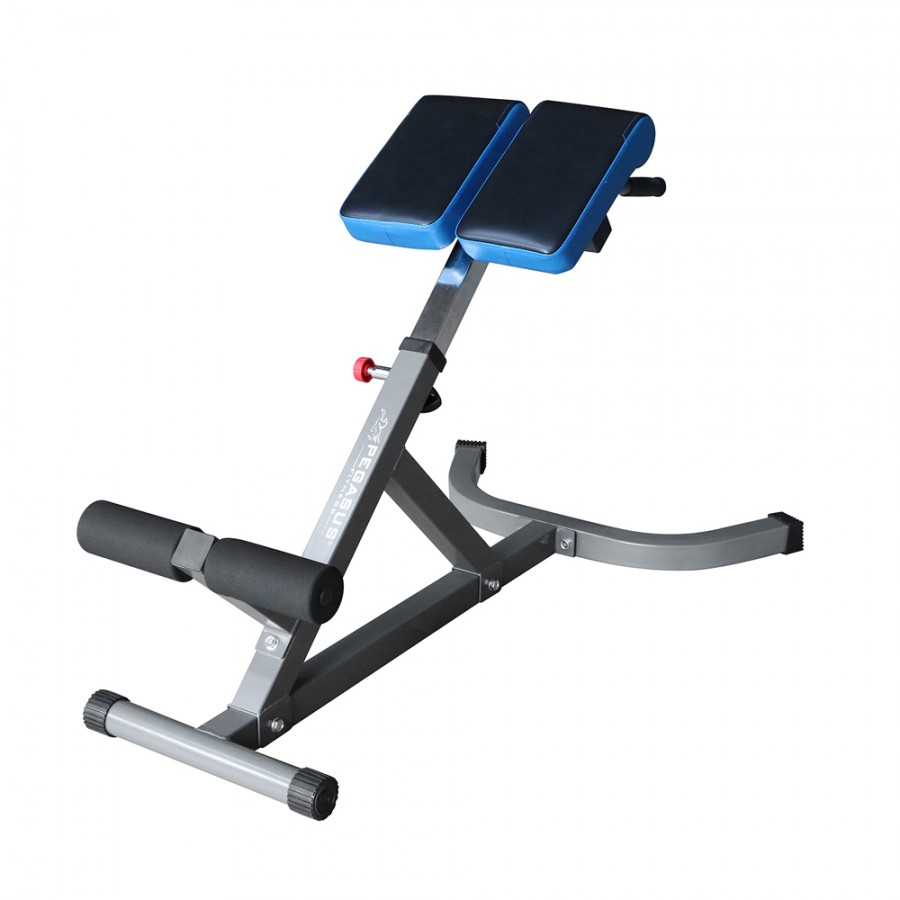 Πάγκος Ραχιαίων Pegasus® LRK-904