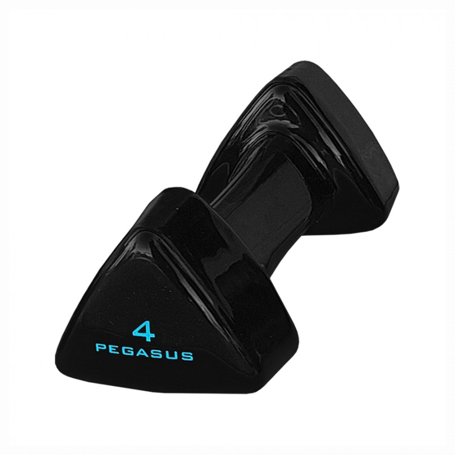 Τρίγωνος Αλτήρας Vinyl 4kg Pegasus® PG-1005 393600504