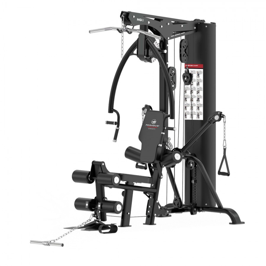 Πολυόργανο Γυμναστικής Pegasus HG8 308878800