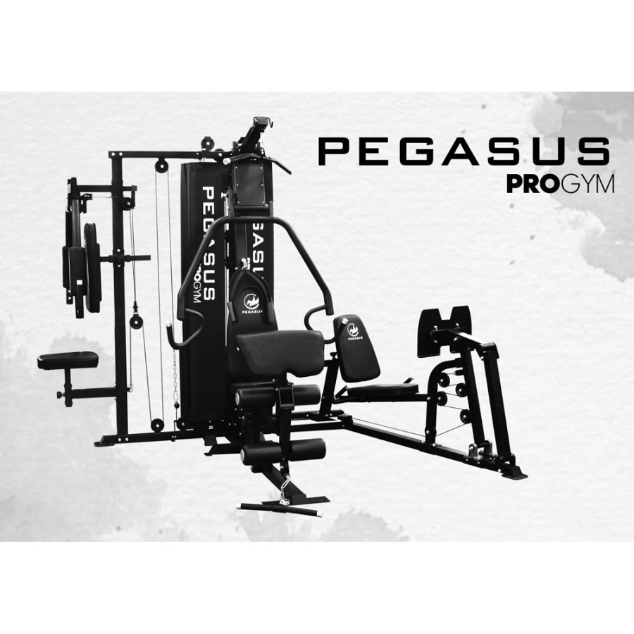 Πολυόργανο Pegasus Pro Gym 3 Θέσεων MT-18504-ABC