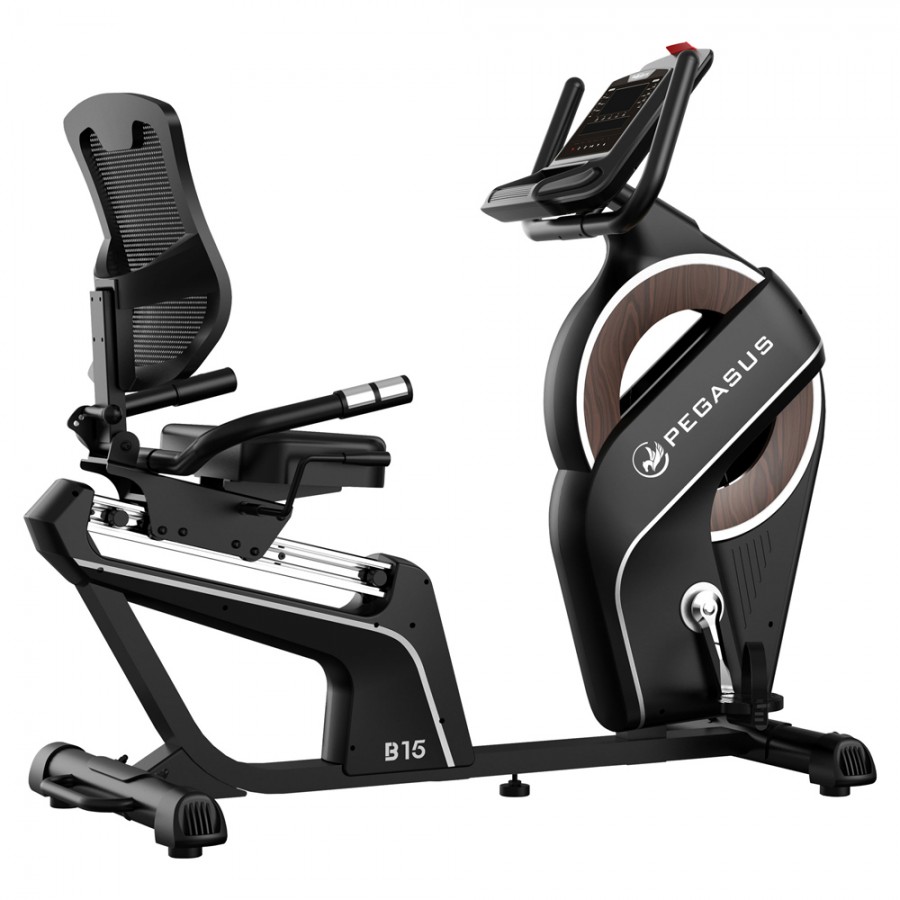 Καθιστό Ποδήλατο Γυμναστικής Pegasus B15 341996632