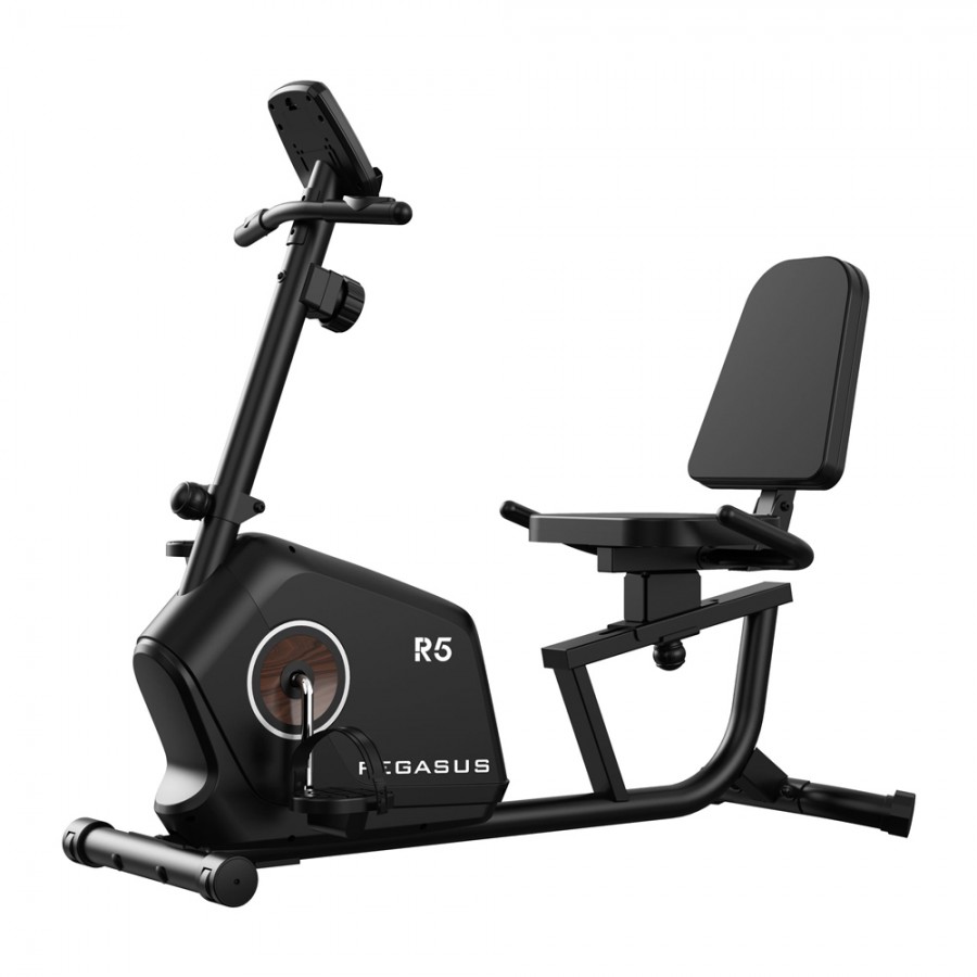 Καθιστό Ποδήλατο Γυμναστικής Pegasus R5