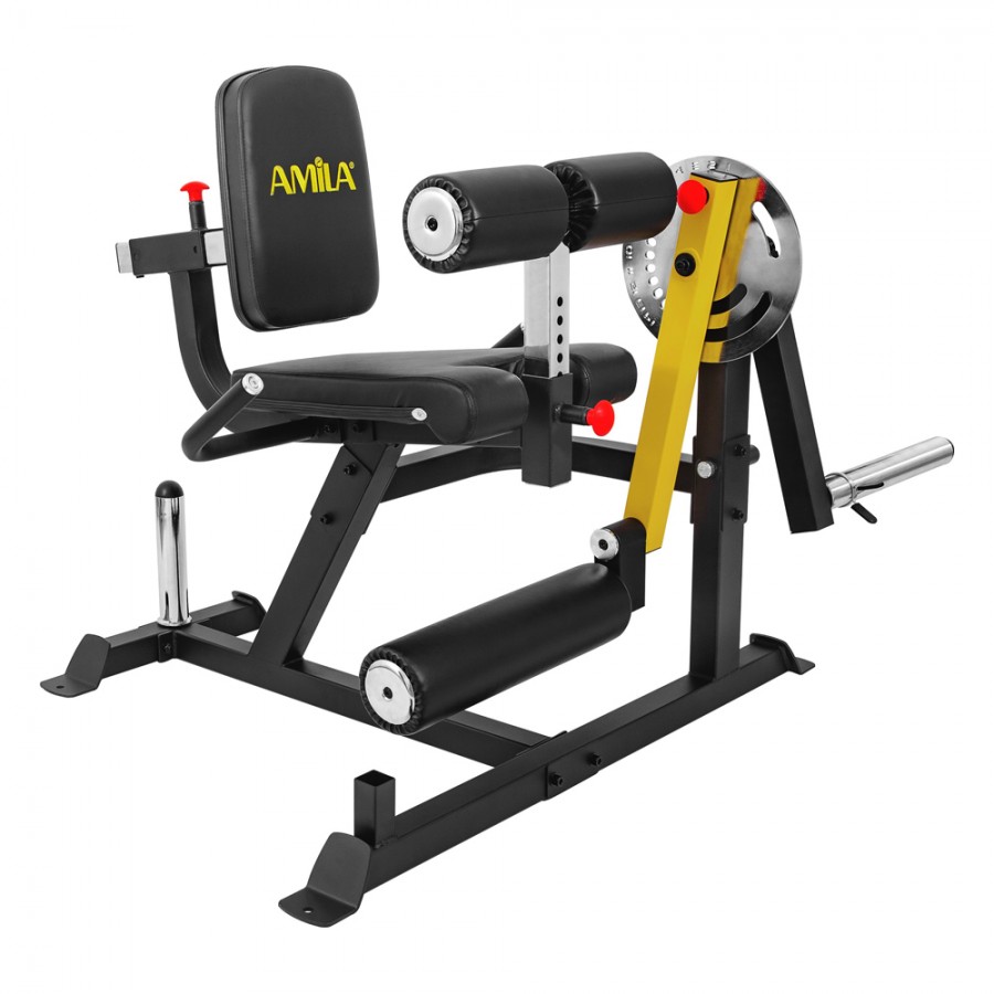 Μηχάνημα Leg Curl Leg Extension Amila AX1030 93703
