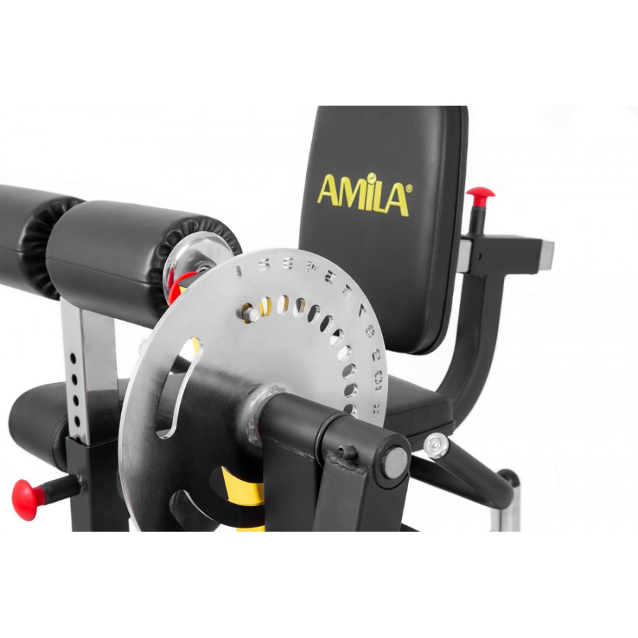 Μηχάνημα Leg Curl Leg Extension Amila AX1030 93703