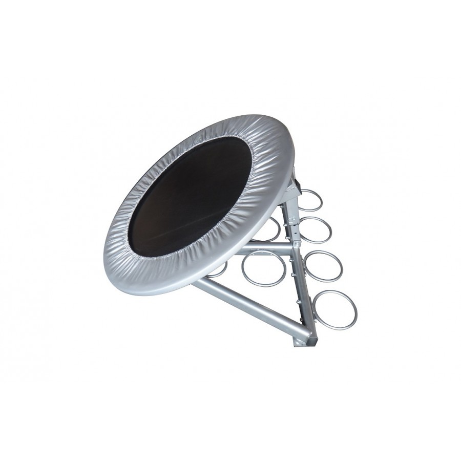 Medicine Ball Reactor Pegasus B 1220-05