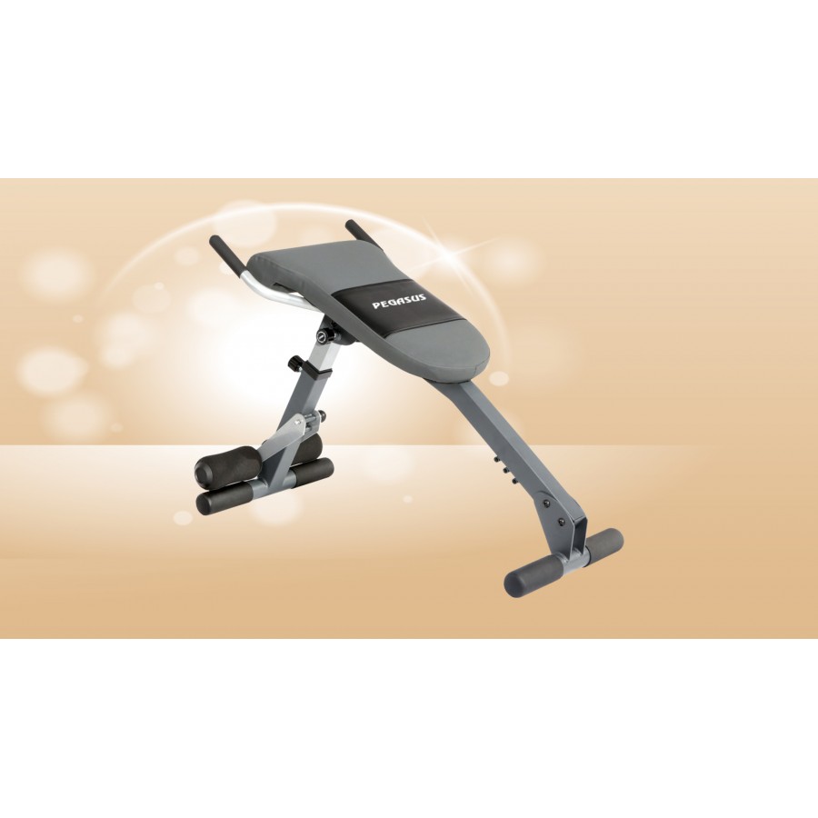 Πάγκος Κοιλιακών Ραχιαίων Pegasus® JX-508B Αναδιπλούμενος Λ 513