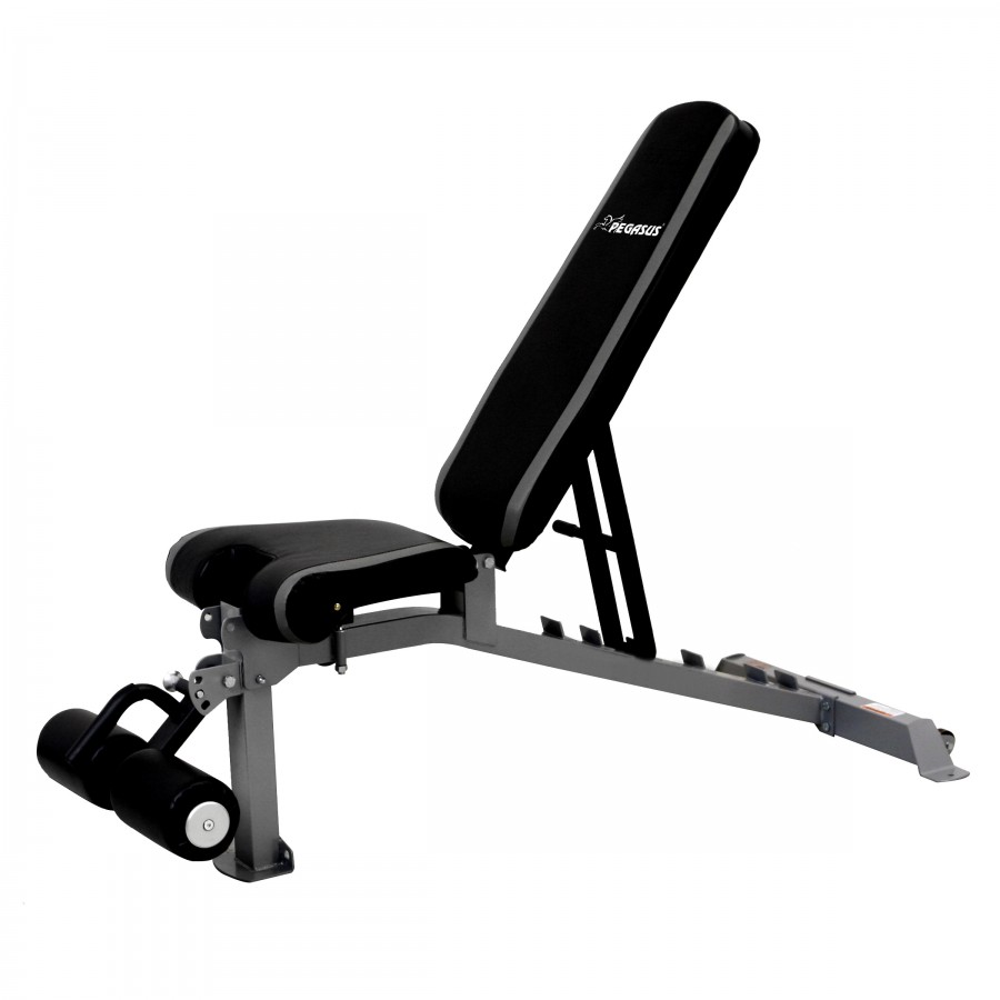 Πάγκος Ρυθμιζόμενος Pegasus® VB Λ 563
