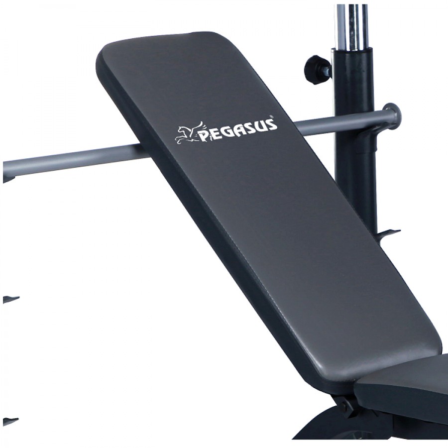 Πολυπάγκος Βαρών Pegasus® JX-764