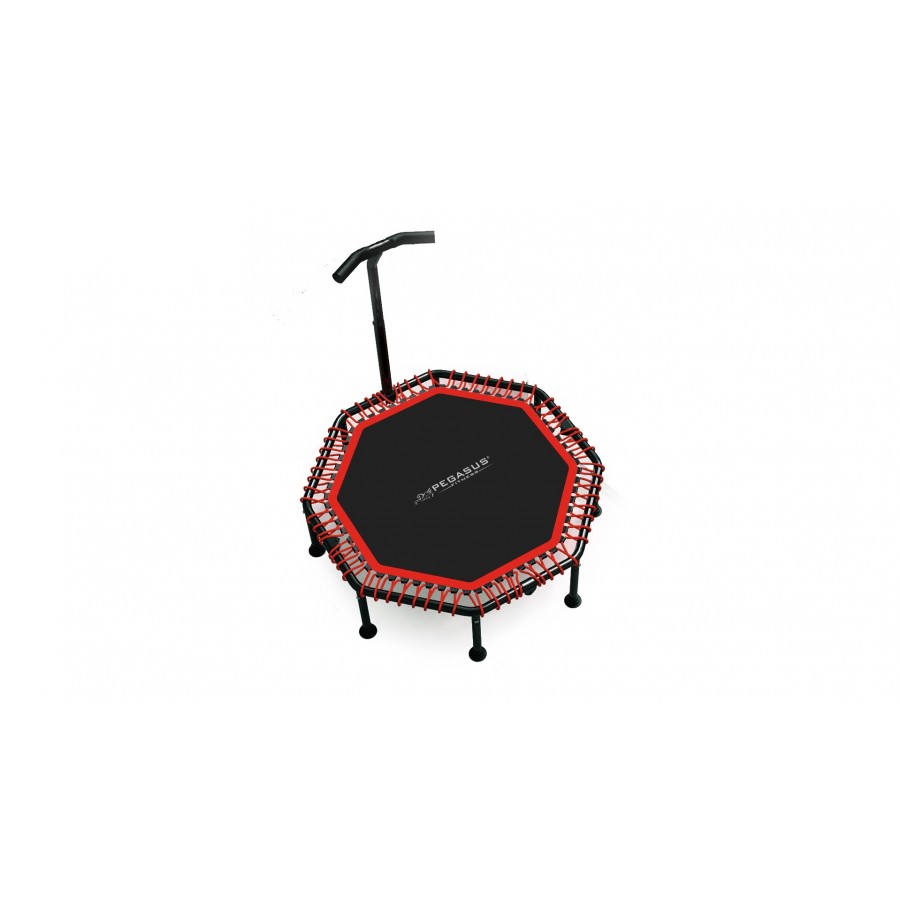 Τραμπολίνο με Λαβή 48 (122cm) Pegasus® Β 4503A