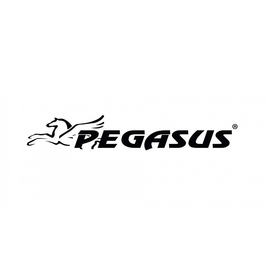 Λαβές για Λάστιχα Power Band Pegasus Β 0601