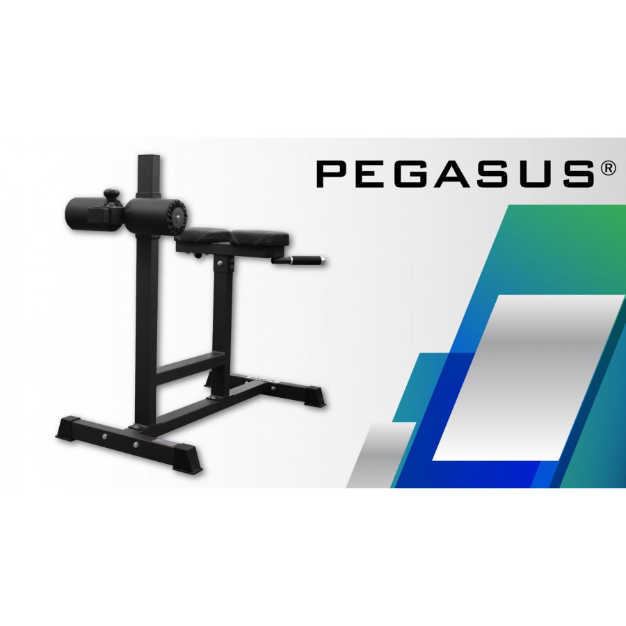 Πάγκος ραχιαίων Pegasus® HCLT-5006 Λ 5042