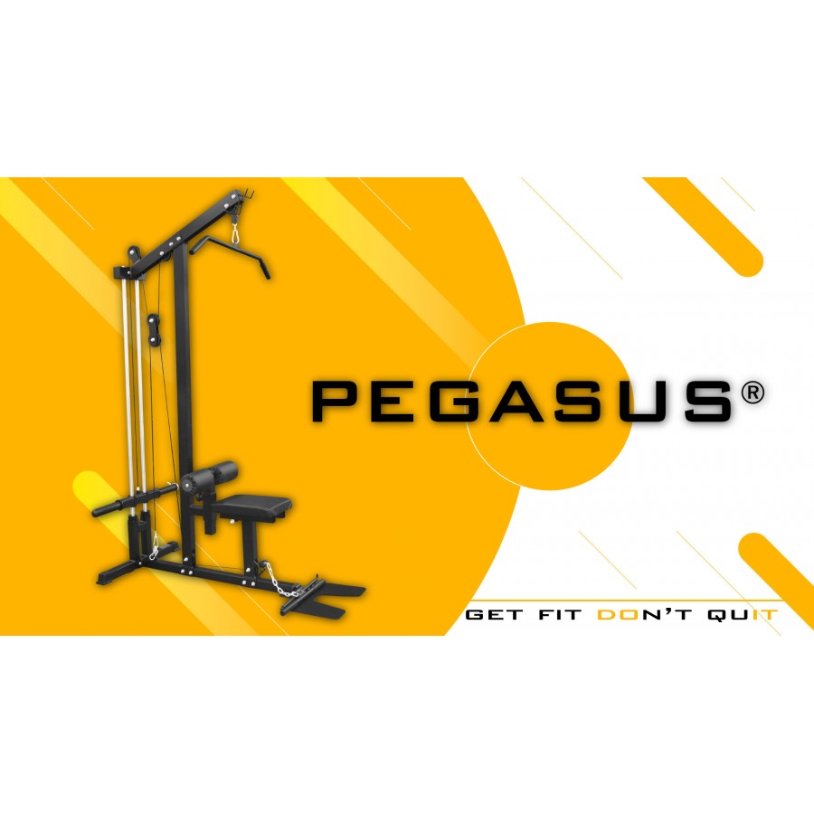 Τροχαλία Πλάτης Pegasus® HCLT-2064 Λ 633