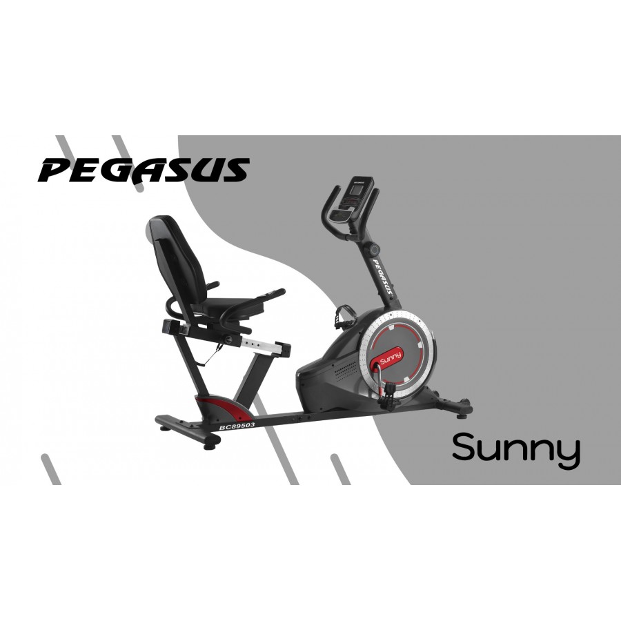 Καθιστό Ποδήλατο Γυμναστικής Pegasus® Sunny BC‑89503‑RD Π-104-RD
