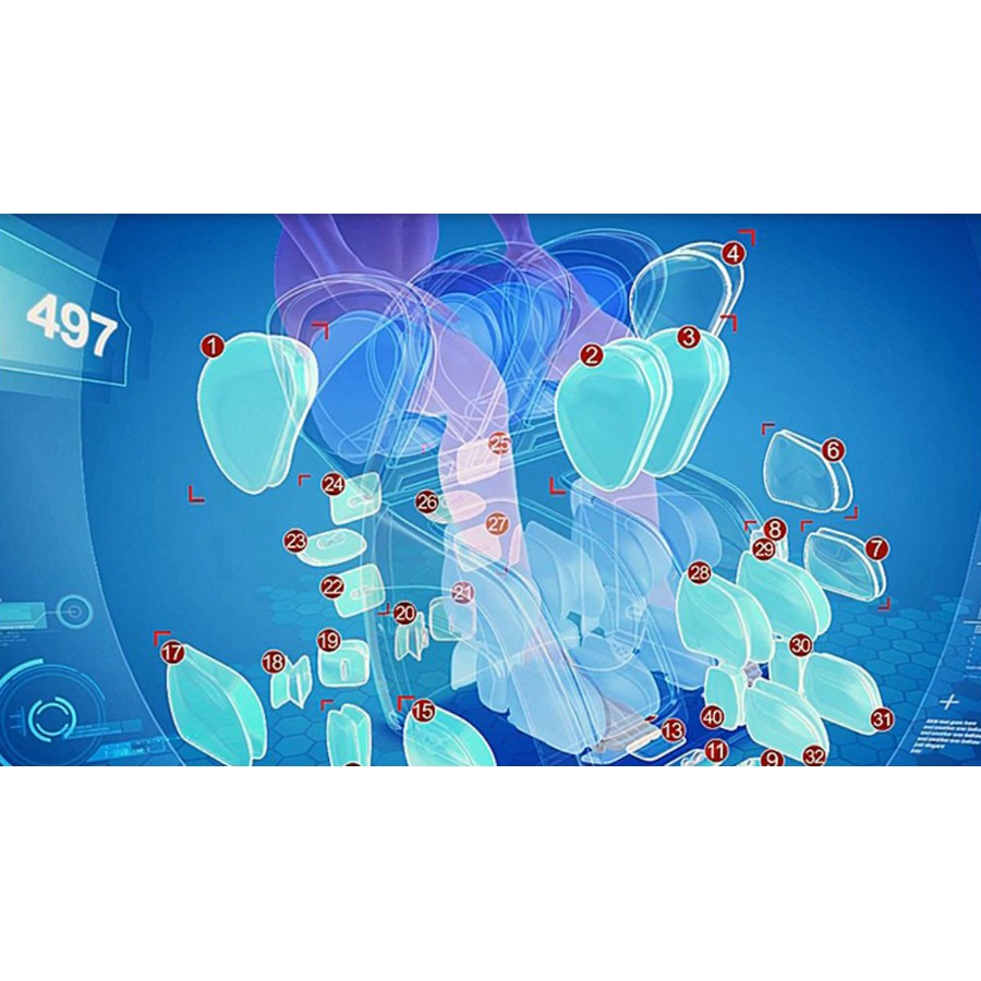 Συσκευή Μασάζ για τα Πόδια Life Care SL-C30A M 836