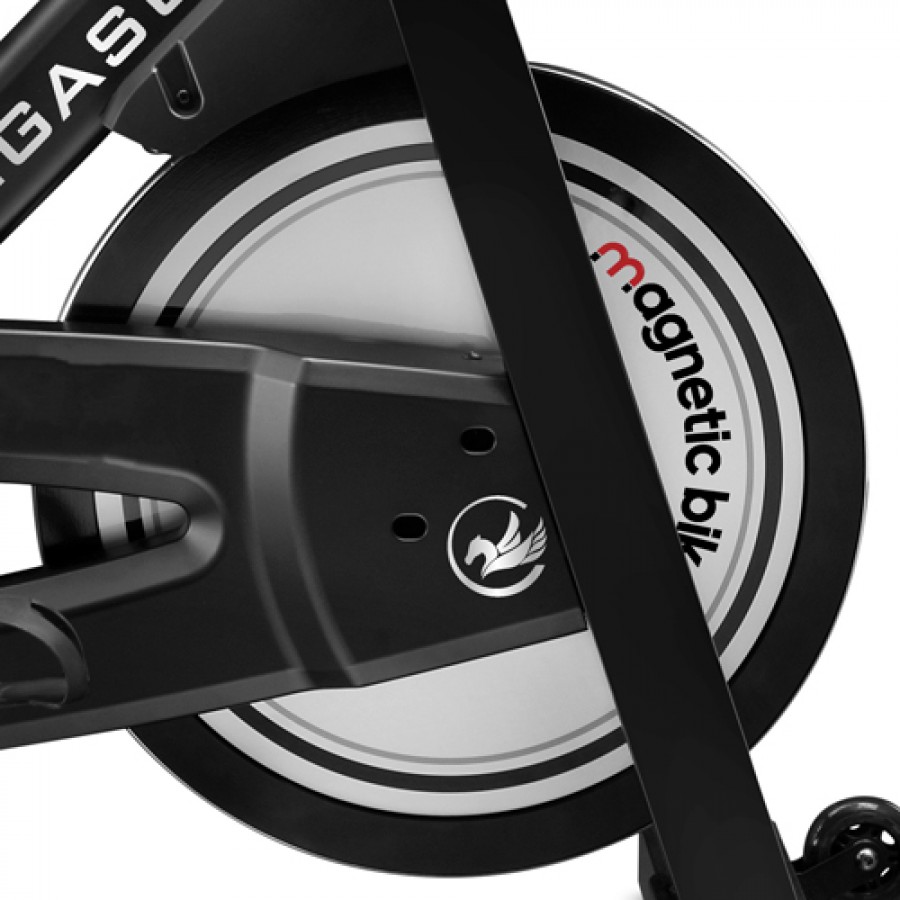 Ποδήλατο Γυμναστικής Pegasus® Spin Bike Aero Π-117