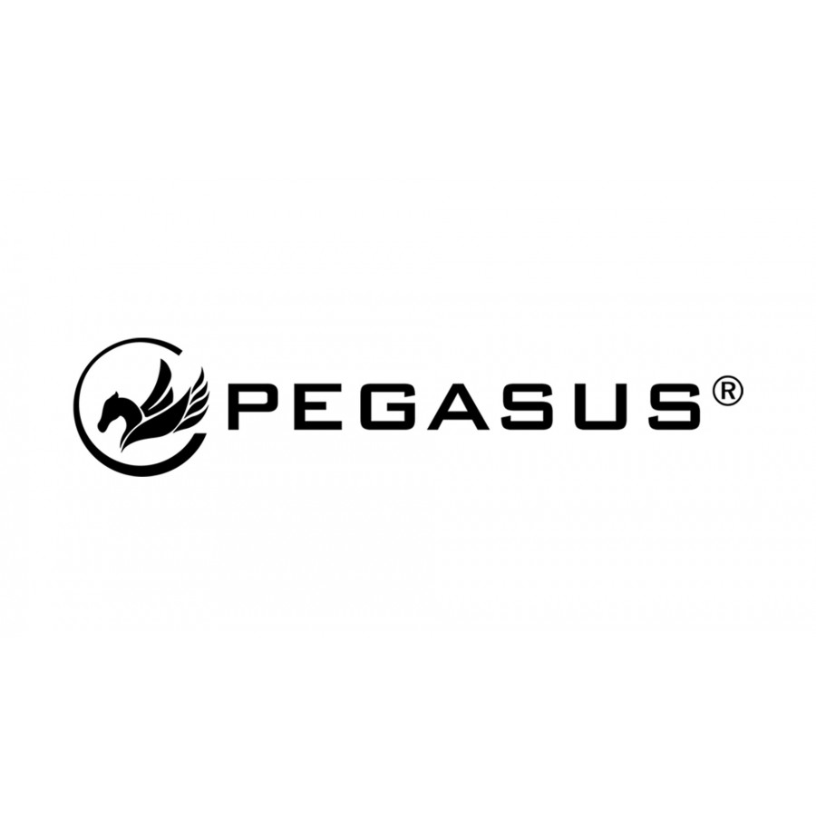 Τρίγωνος Αλτήρας Vinyl 2kg Pegasus® PG-1005 393600502