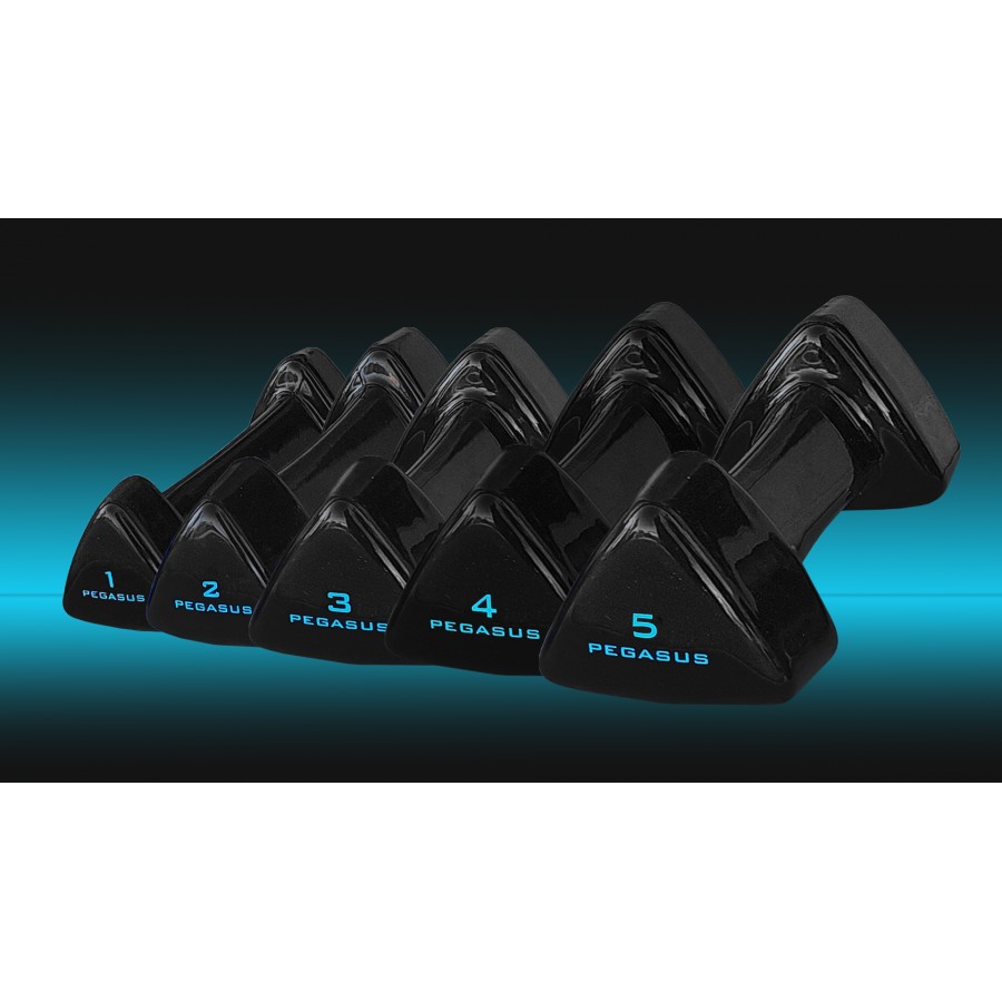 Τρίγωνος Αλτήρας Vinyl 2kg Pegasus® PG-1005 393600502