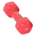 Βαράκι πλαστικοποιημένο 3kg Amila 44493