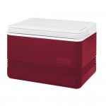 Ψυγείο Camping IGLOO Legend 12 (8lt) 41207