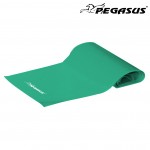 Λάστιχο Ενδυνάμωσης Κορδέλα Pegasus® Medium