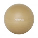 Μπάλα γυμναστικής Amila 55cm 95829