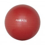 Μπάλα γυμναστικής Amila 55cm 95828