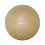 Μπάλα γυμναστικής Φ55cm Amila 48410