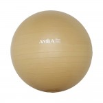 Μπάλα γυμναστικής Φ65cm Amila 48413