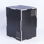 3 σε 1 Πλειομετρικό Κουτί Ξύλινο Plyo Box Anti-Slip LivePro