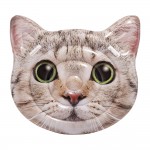 Φουσκωτό Στρώμα Θαλάσσης Intex Cat Face Island 58784