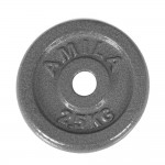 Δίσκος Εμαγιέ 2.50kg 28mm Amila 44478