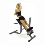 Πάγκος Ραχιαίων Bodycraft Roman Chair 