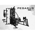 Πολυόργανο Pegasus Pro Gym 3 Θέσεων MT-18504-ABC