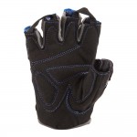 Μισόγαντα Άρσης Βαρών 