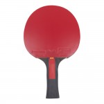 Ρακέτα Ping Pong Butterfly 