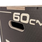 Πλειομετρικό Κουτί Plyo Box Tempo 75 Amila 