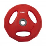 Δίσκος με Επένδυση Λάστιχου Φ28 5kg Amila 44416