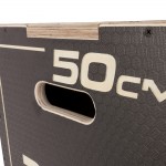 Πλειομετρικό Κουτί Plyo Box Tempo 60 