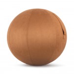 Κάλυμμα Μπάλας Γυμναστικής 65cm Καφέ Amila 96791