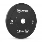 Δίσκος Βαρών Amila 50mm 5Kg 