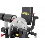 Μηχάνημα Leg Curl Leg Extension Amila AX1030 93703