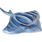 foyskoto intex stringray ride on 57550