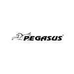 Λάστιχο Αντίστασης Pegasus® με Κάλυμμα (15lbs - 6.8kg) Β 6367-15